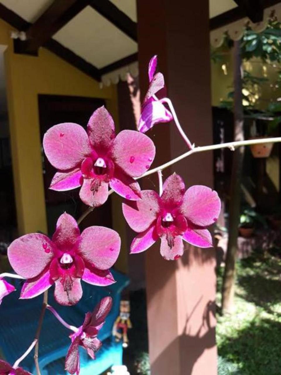 Thanakha Inle Hotel Nyaungshwe Exteriör bild
